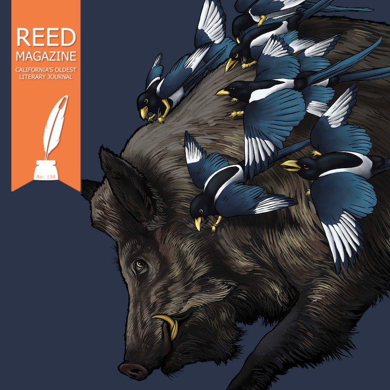 Cover of Reed Magazine 158